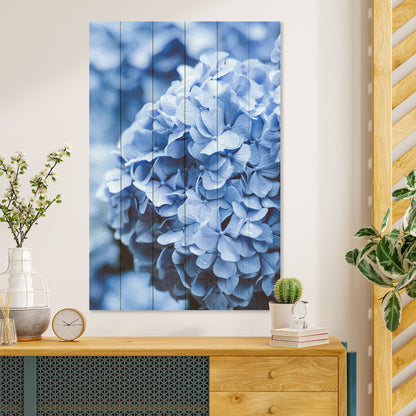 Obraz na drewnie Kwiat hortensja - Hydrangea