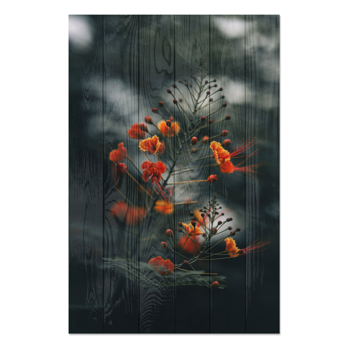 Obraz na drewnie Pomarańczowe kwiaty - Little Orange Flowers
