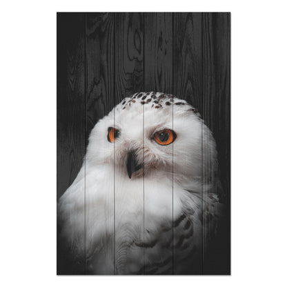 Obraz na drewnie Portret sowy - Owl Portrait