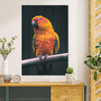 Obraz na drewnie Papuga na drzewie - Papuga