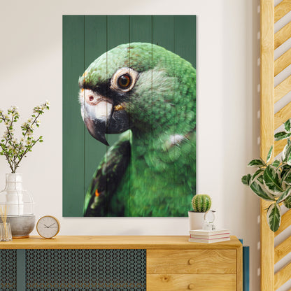 Obraz na drewnie Zielona papuga - Parrot