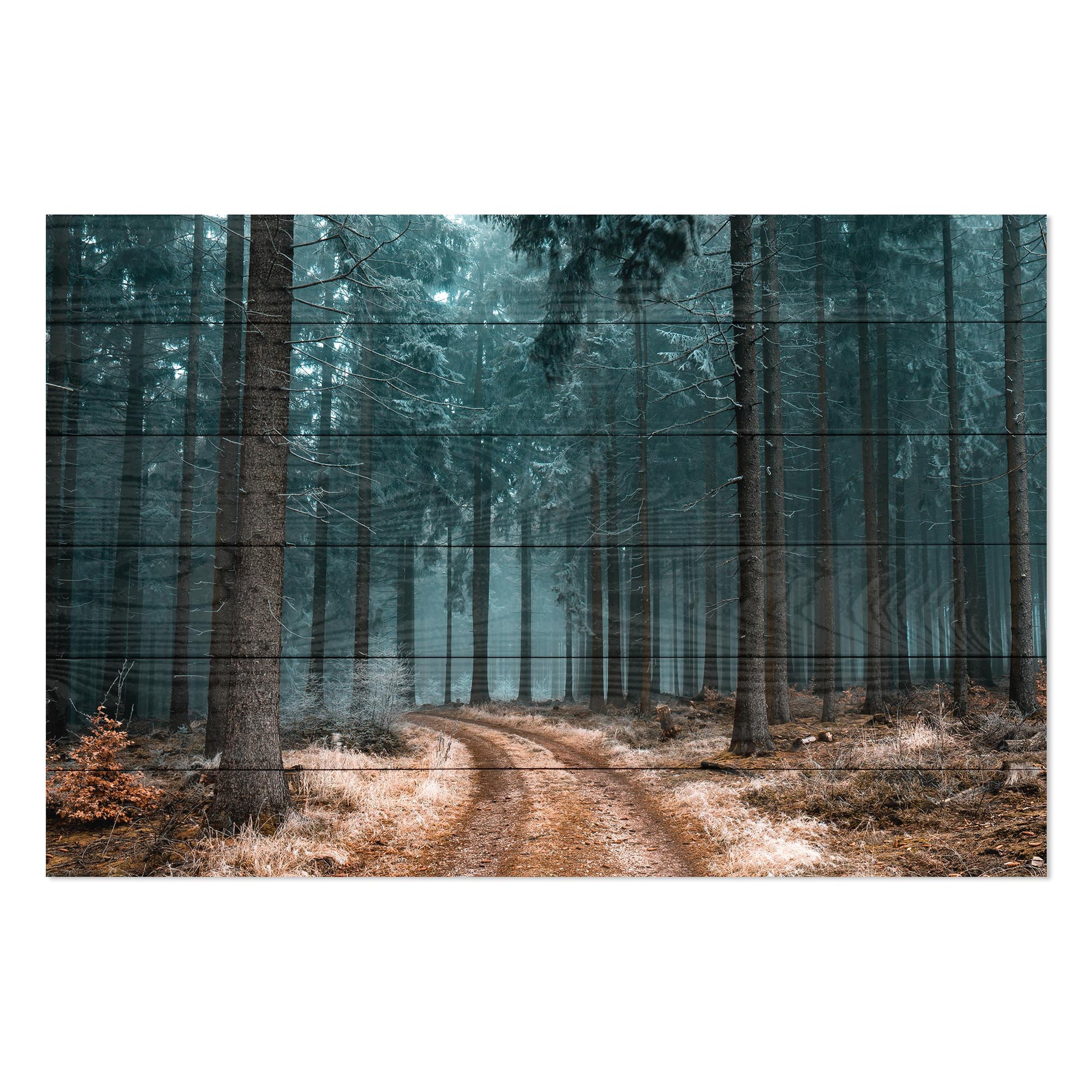 Obraz na drewnie Ścieżka w lesie Path in the Forest