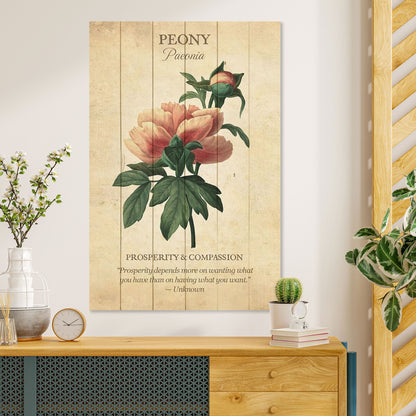 Obraz na drewnie Kwiat piwonii - Peony Flower