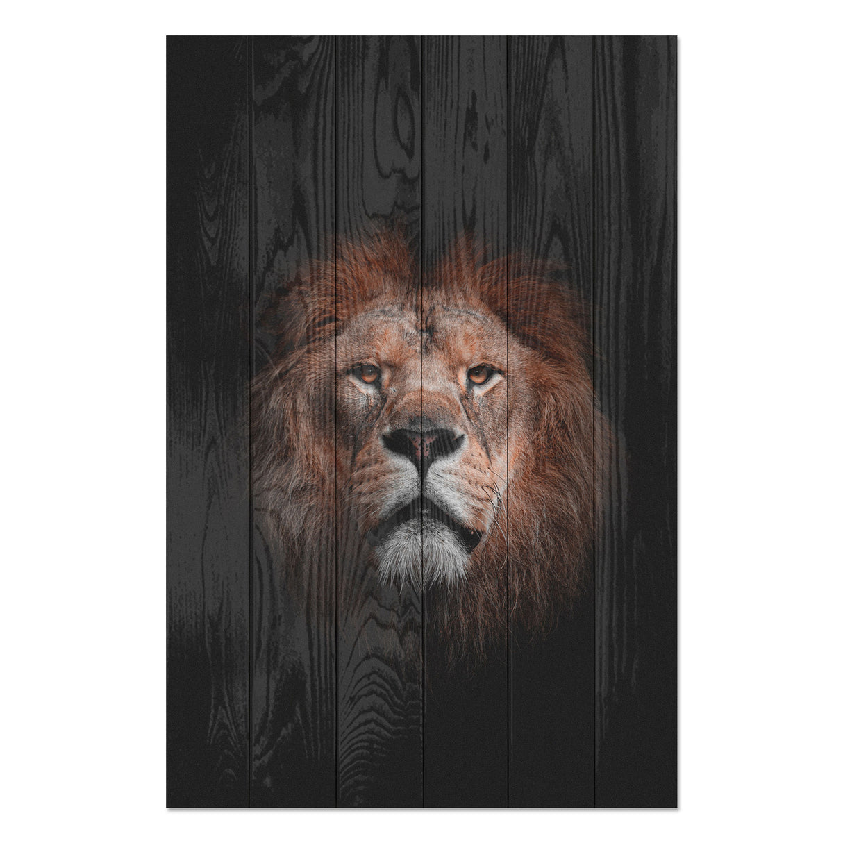 Obraz na drewnie Portret Lwa - Portrait of a Lion