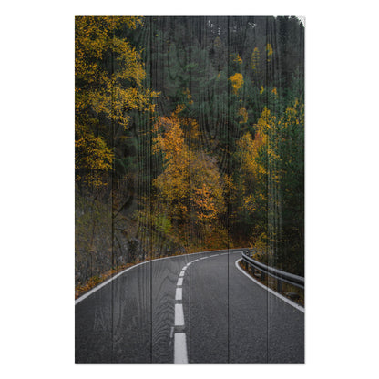 Obraz na drewnie Droga przez las - Road throught the Forest