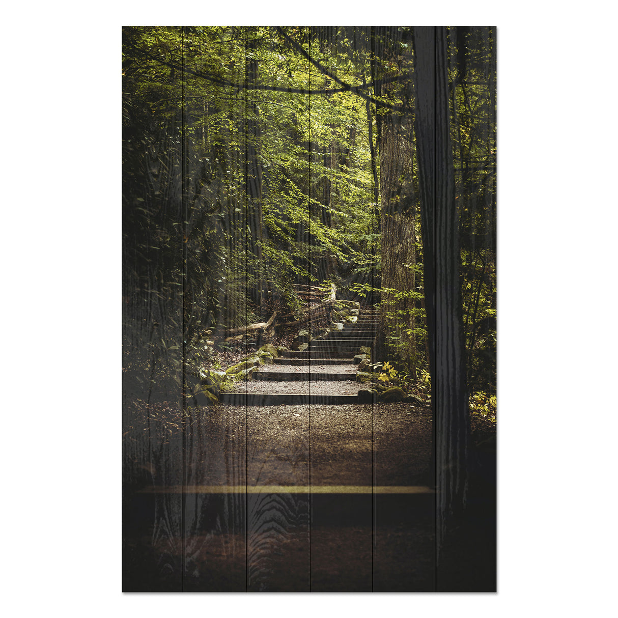 Obraz na drewnie Schody w lesie - Stairs in the Forest