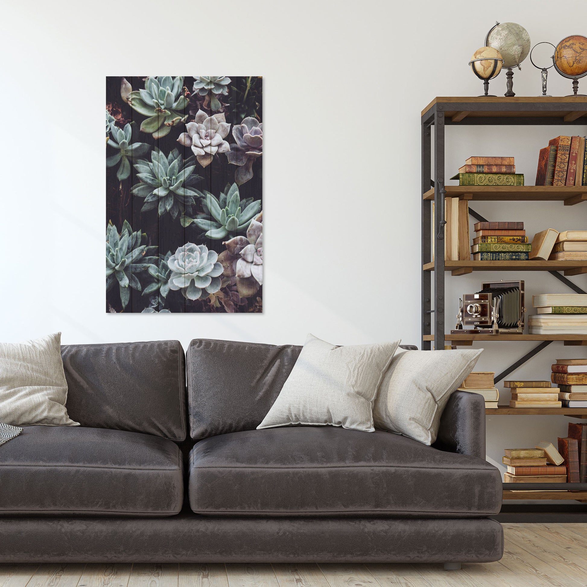 Obraz na drewnie Sukulenty - Succulents