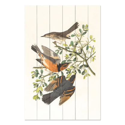 Obraz na drewnie Ptaki na gałęzi - Three Birds on a Branch