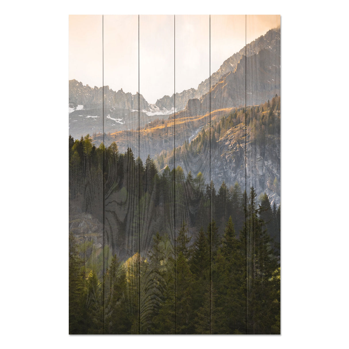 Obraz na drewnie Górskie drzewa - Trees in the Mountains
