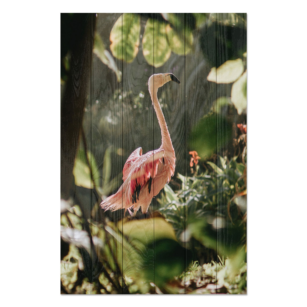 Obraz na drewnie Tropikalny flaming - Tropical Flamingo