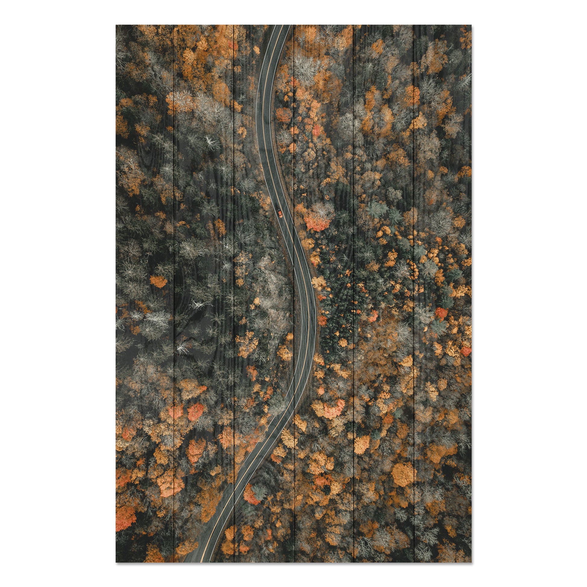 Obraz na drewnie Jesienna droga - Winding Road